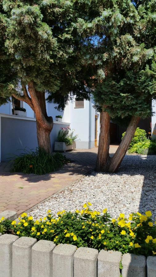 Ferienwohnungen Magedler Lutzmannsburg Exterior foto